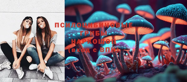 кокс Баксан
