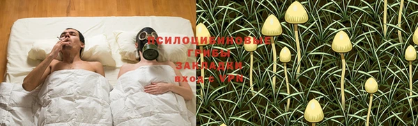 первитин Балахна