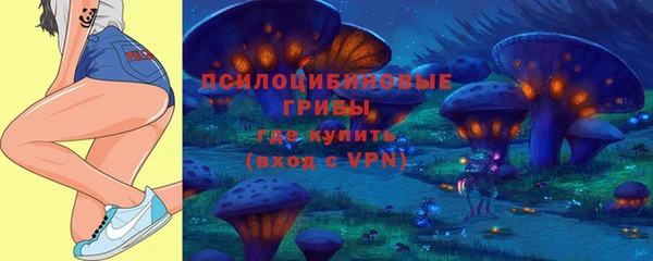 кокс Баксан