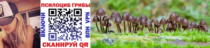Купить  Артёмовский  Галлюциногенные грибы Psilocybine cubensis 